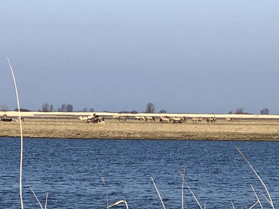 Prachtig Guesthouse Aan Het Water Almere Bagian luar foto